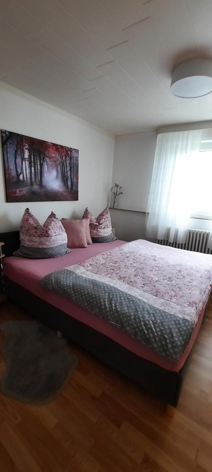 Ferienwohnung An Der Lahn Лимбург-ан-дер-Лан Экстерьер фото